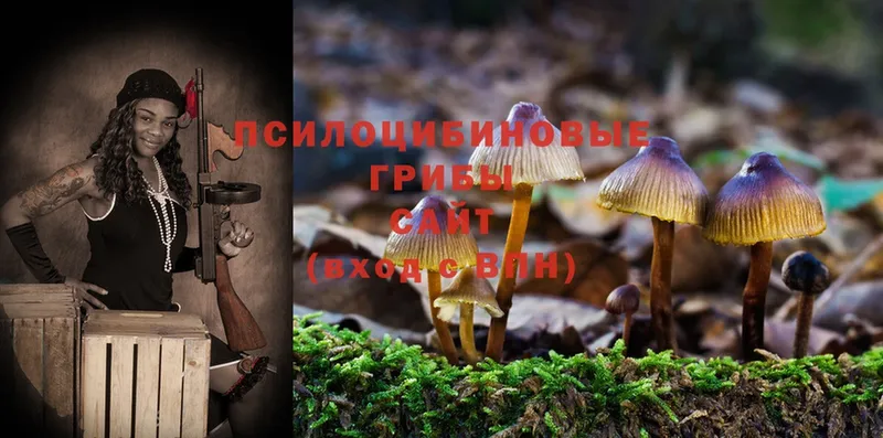 Галлюциногенные грибы MAGIC MUSHROOMS  как найти   Долинск 